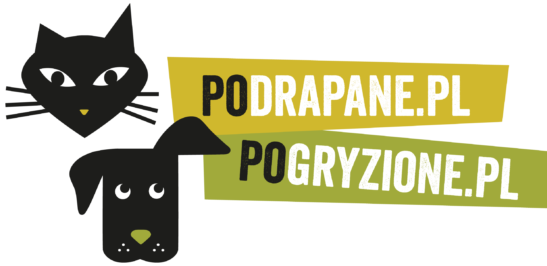 Kot i pies Logo firm pogryzione